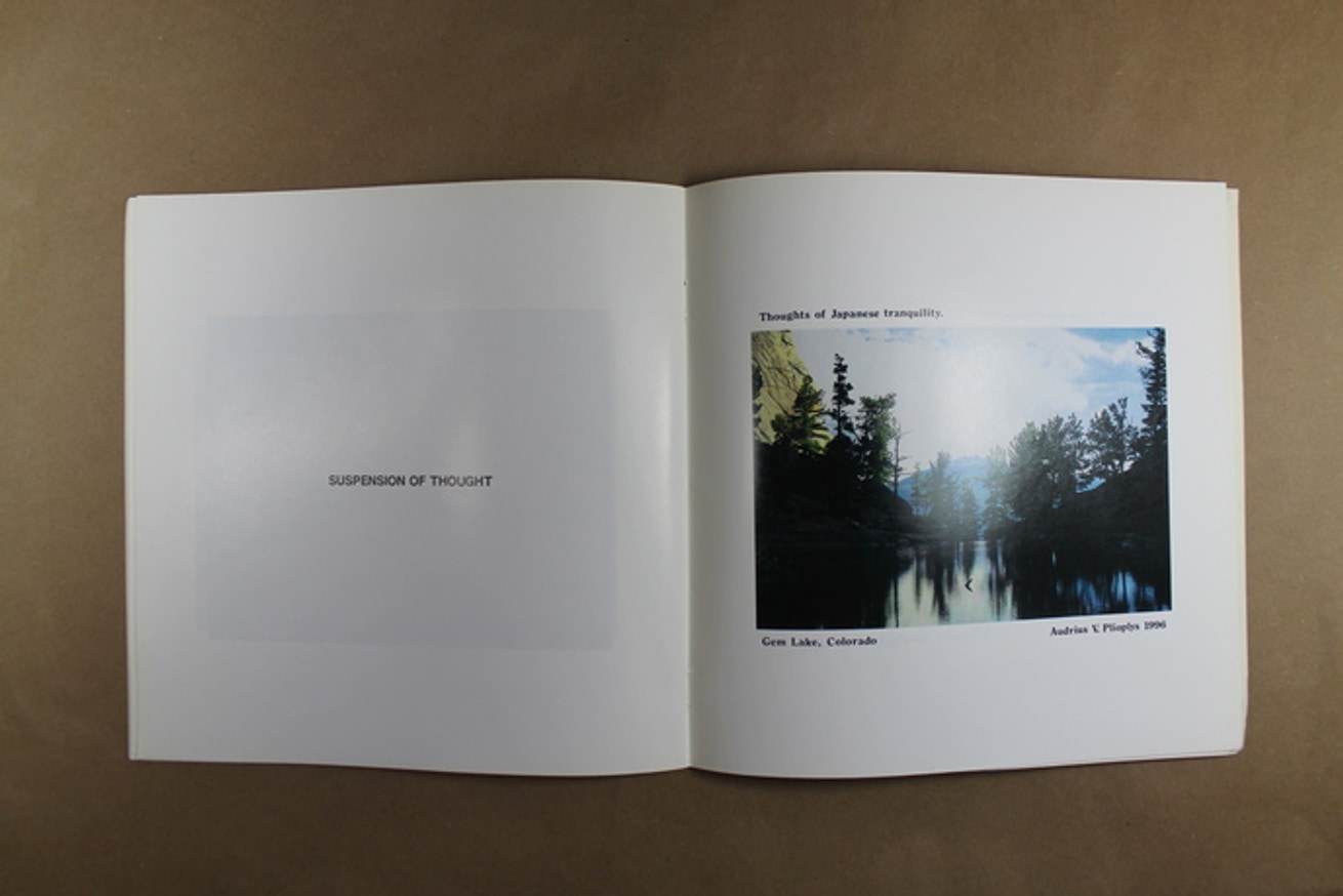 Supremacy...Submission...Implimentation...Suspension of Thought thumbnail 3