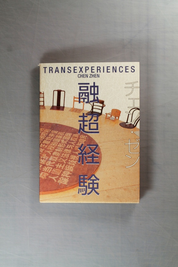 Transexperiences thumbnail 2