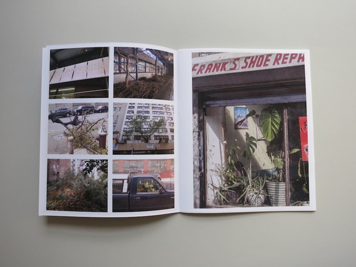 Plantlife/NYC thumbnail 3