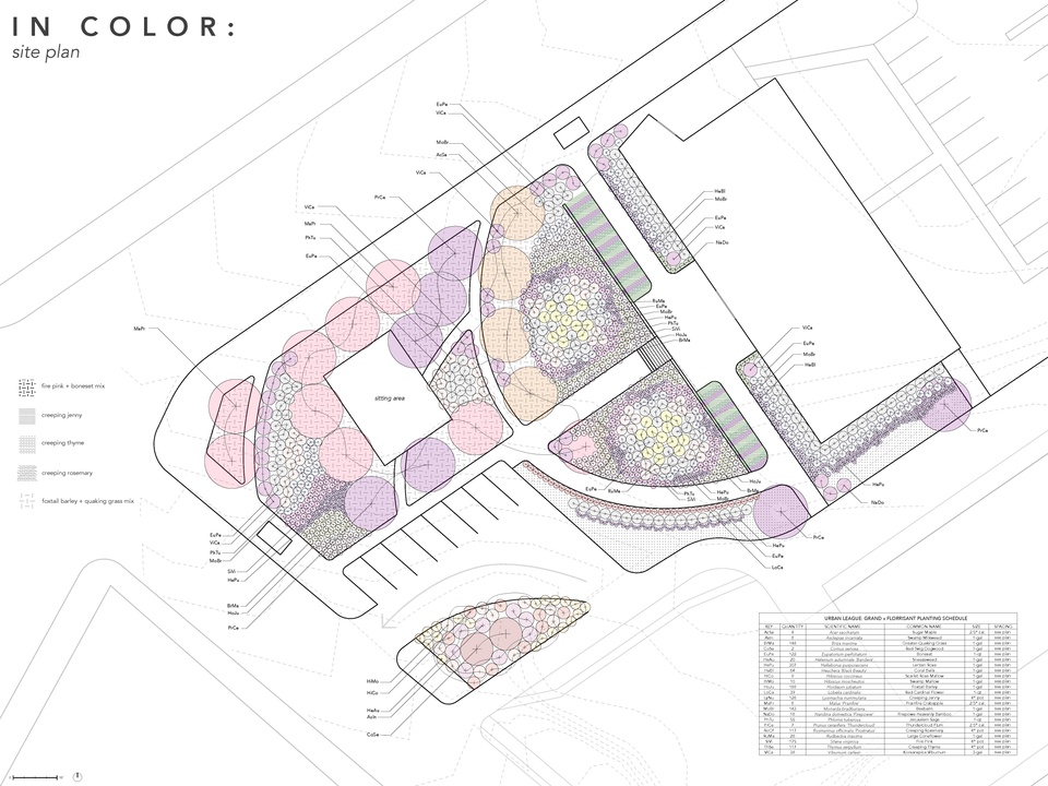 A plan showing colors of planting organizations. 