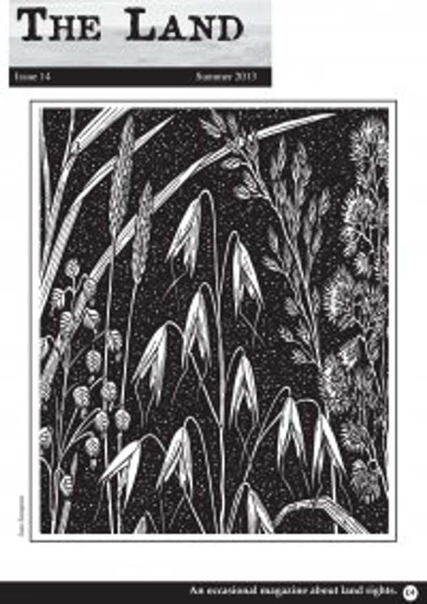 The Land