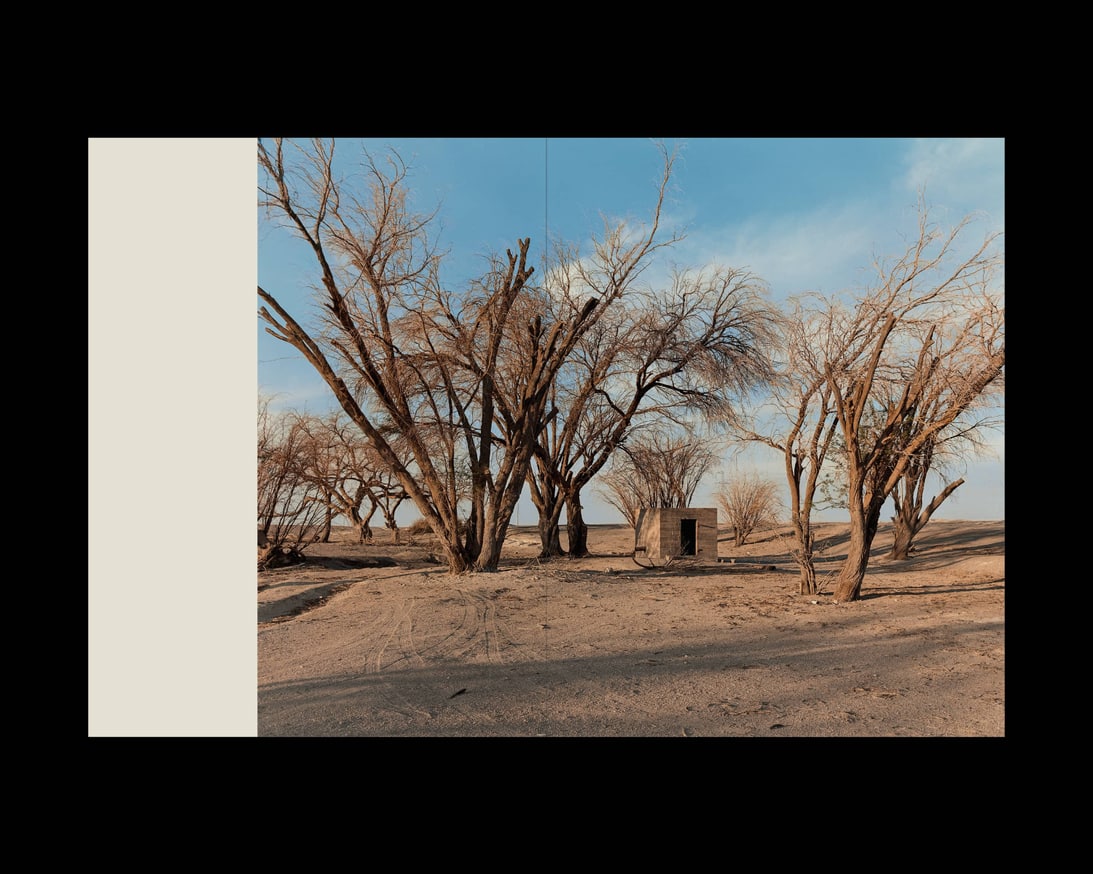 SIGNALS thumbnail 10