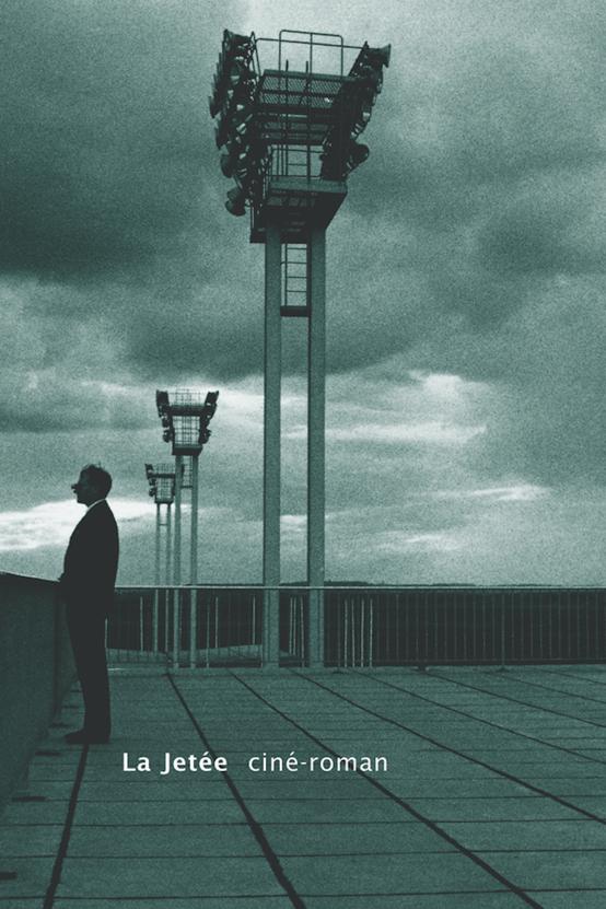 The Panorama: History of a Mass Medium - Zone Books