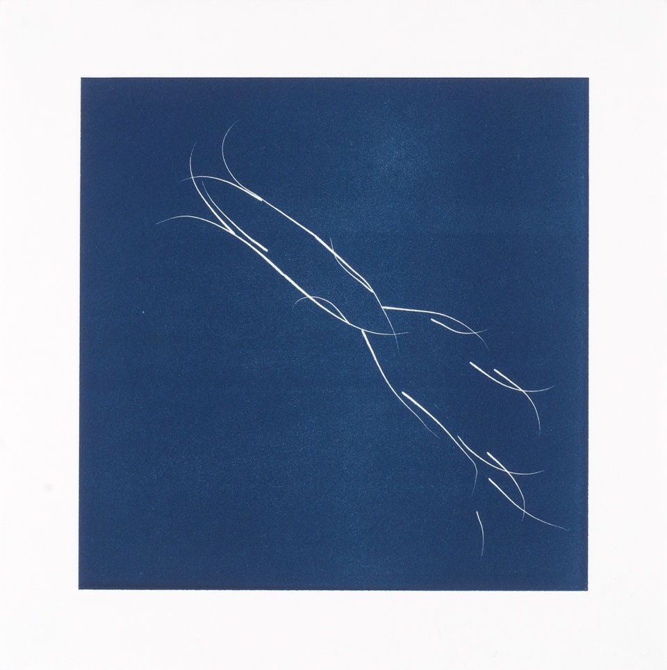 Image of an abstract drawing made with lines resembling cat whiskers in white with a dark blue background