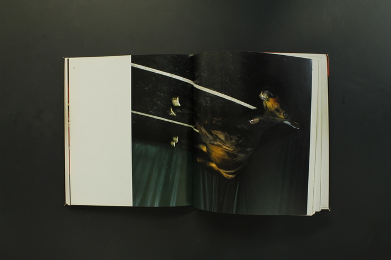 A Joyful Confusion thumbnail 3