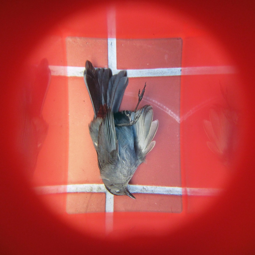 What in Me is Dark Illumine (Set of 8 Viewers) [third edition] thumbnail 5