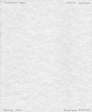 Voluptuous Panic, Digital Whirlpool