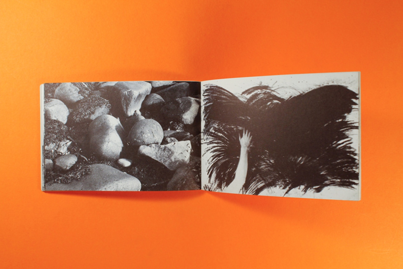 Movements thumbnail 4