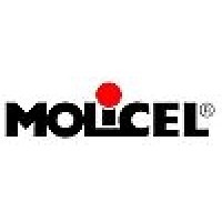 E-One Moli Energy