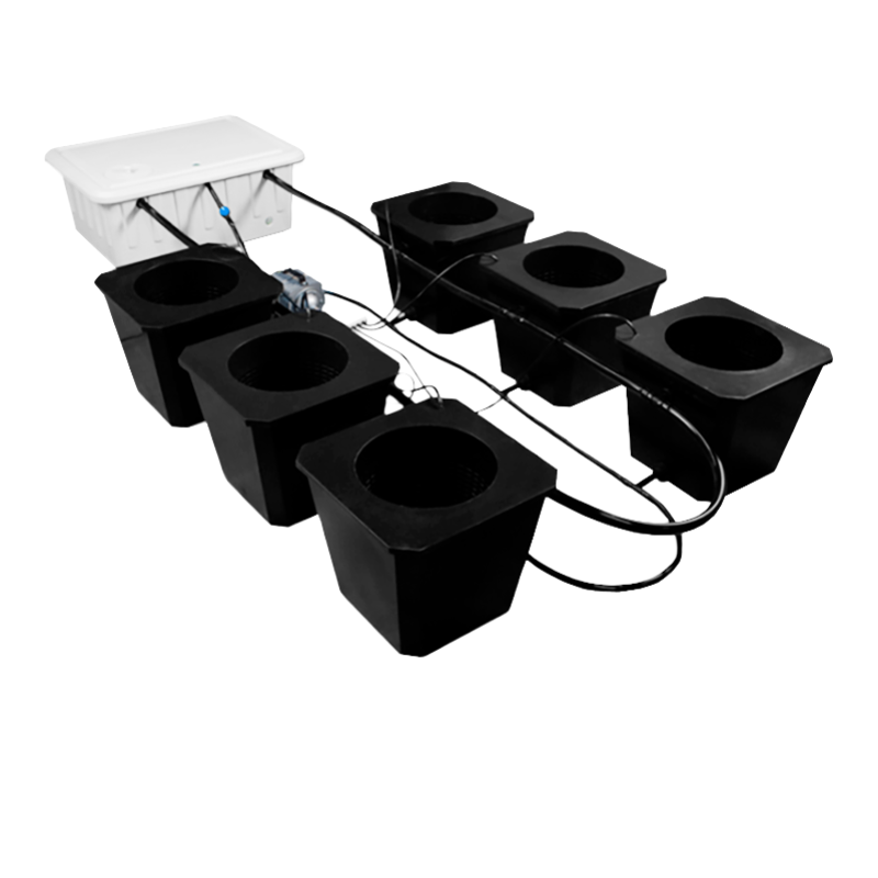 6-Site Bubble Flow Buckets Hydroponic Grow System