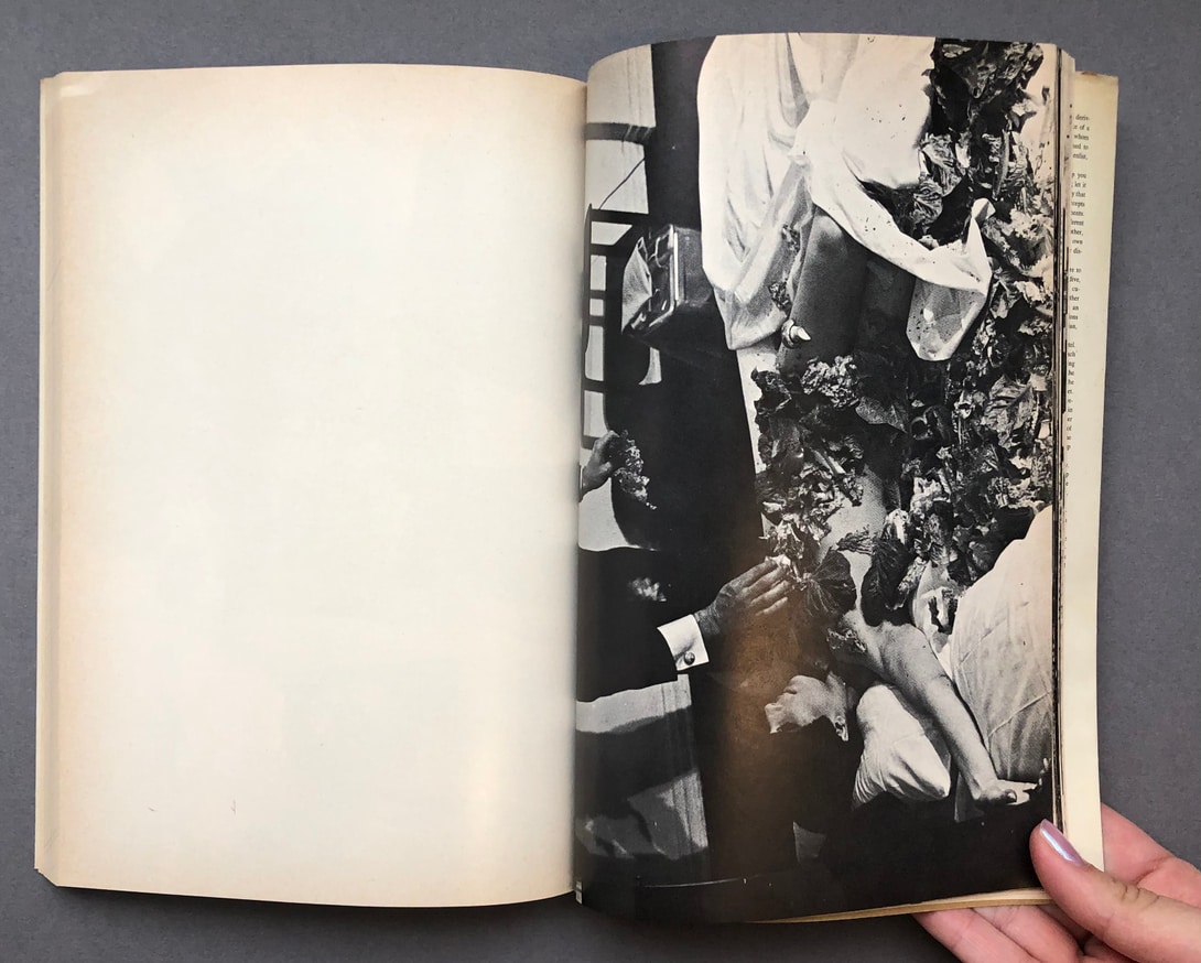 Crackers thumbnail 8