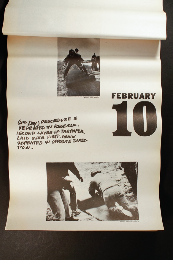 Herd Instinct 360° [DVD] thumbnail 9