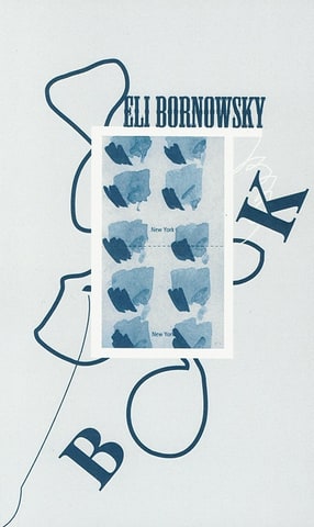 New York New York Book