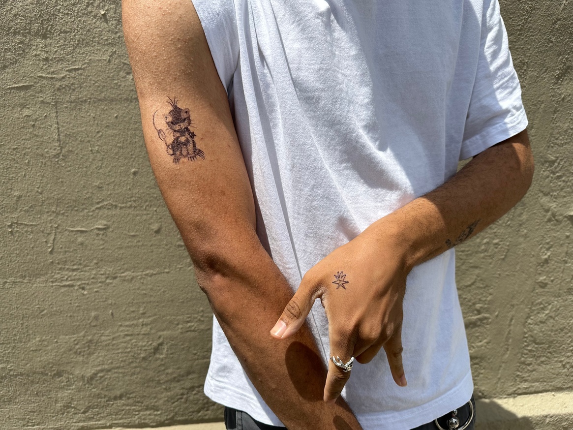 EVZF 2023 Temporary Tattoos — two sheets  thumbnail 3