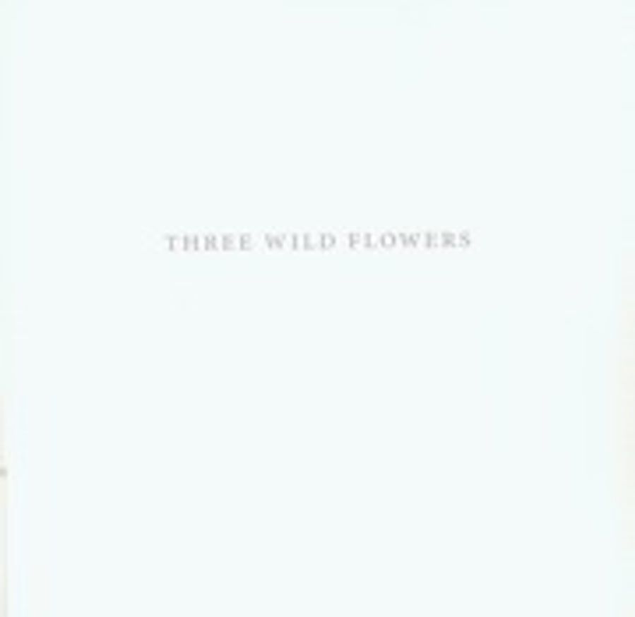 Three Wild Flowers