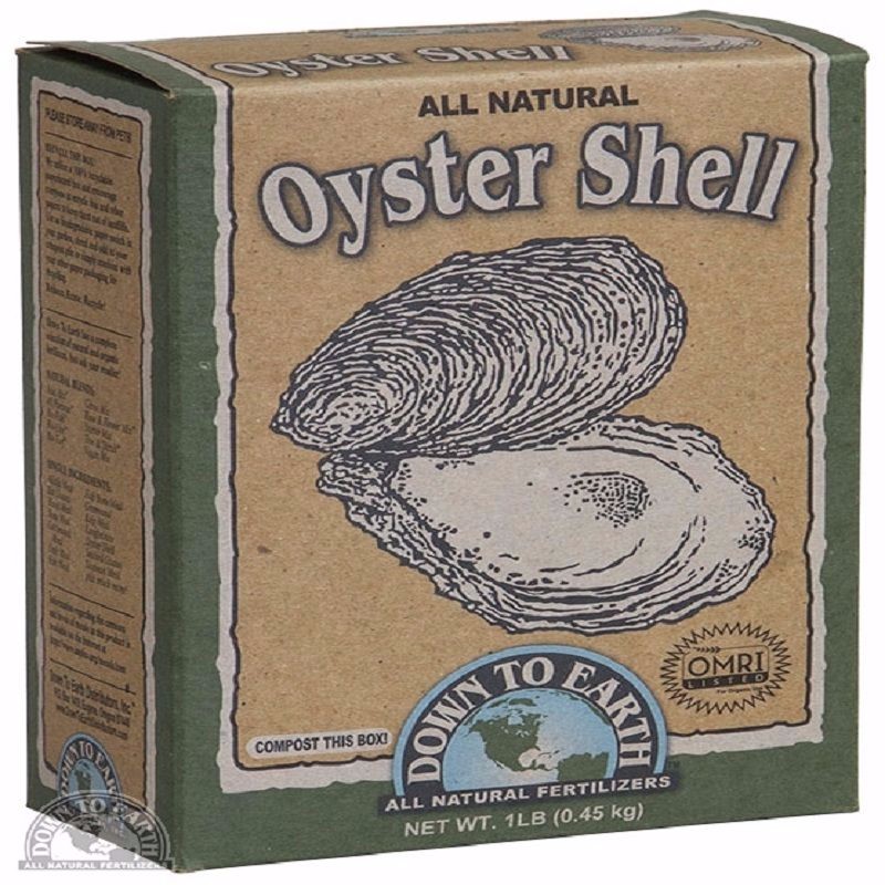 Photo of Oyster Shell