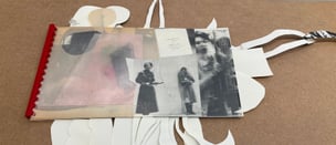 Cut Book (The Opaque Glass : A Poem by Barbara A. Roux in Collaboration with Coco Gordon)