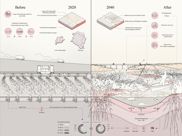 Rendering illustrating before and after effects of restoration of fresh water marshes from 2020 to 2040.