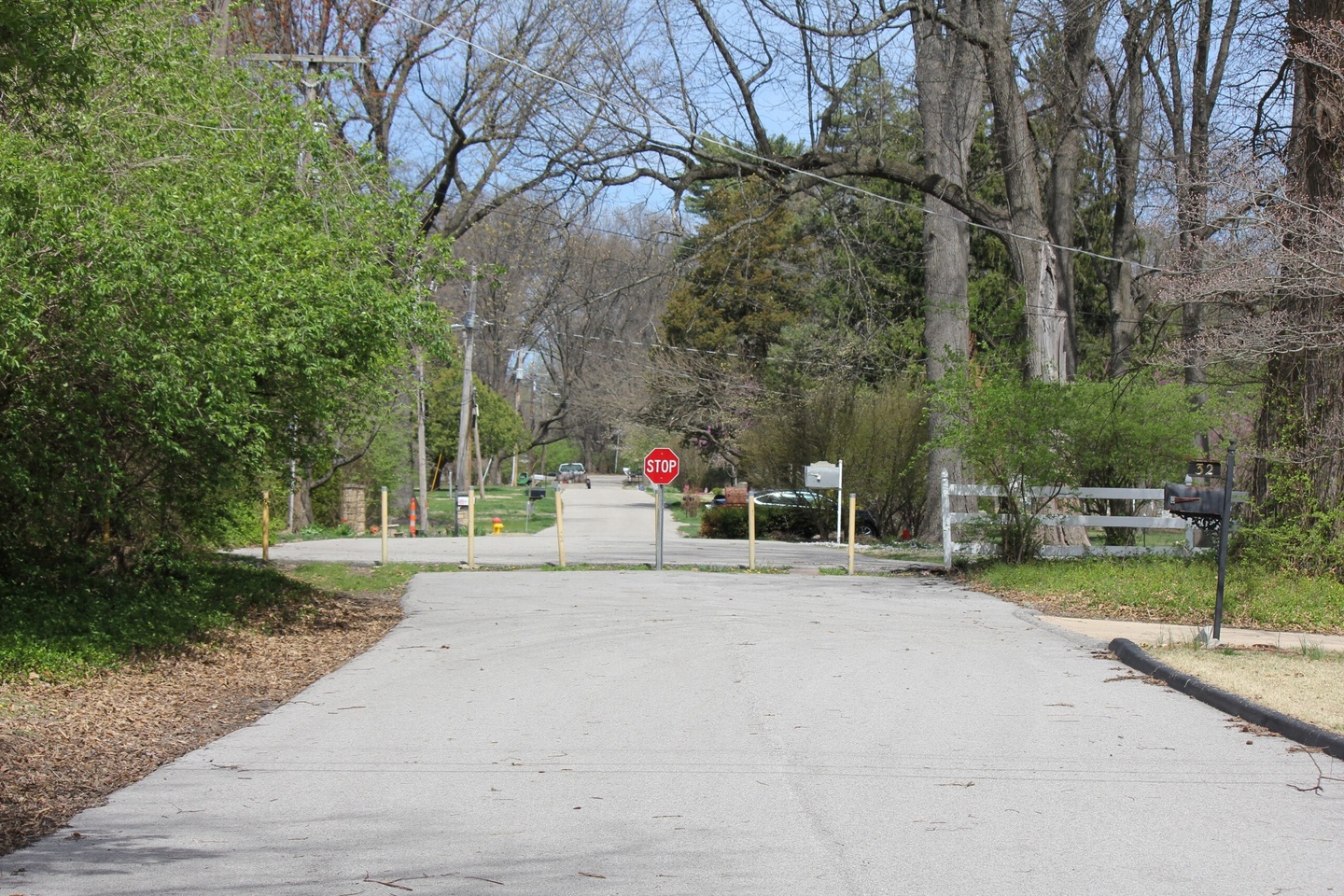 suburban neighborhood street