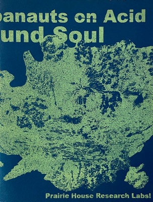 Suburbanauts on Acid: 12 Pound Soul