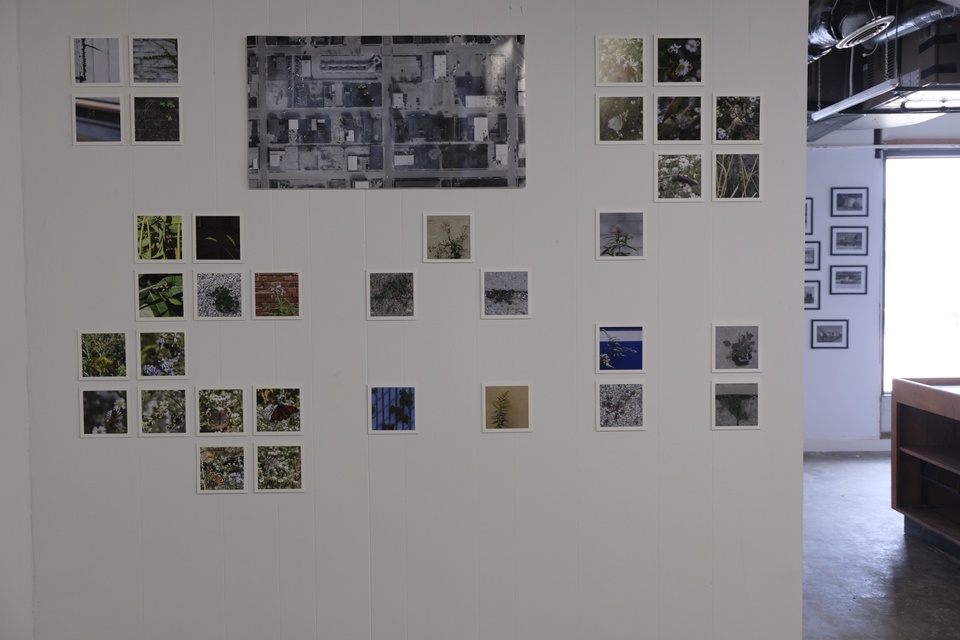 Photo of a gallery installation of photographs. 