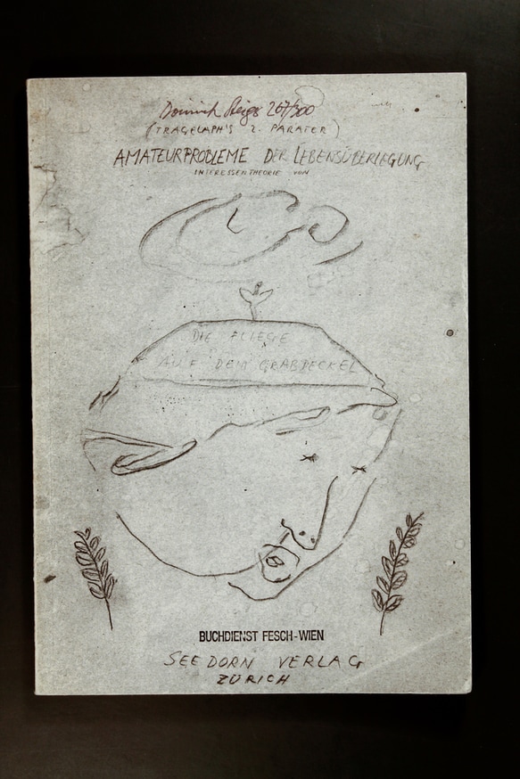Amateurprobleme der Lebensüberlegung