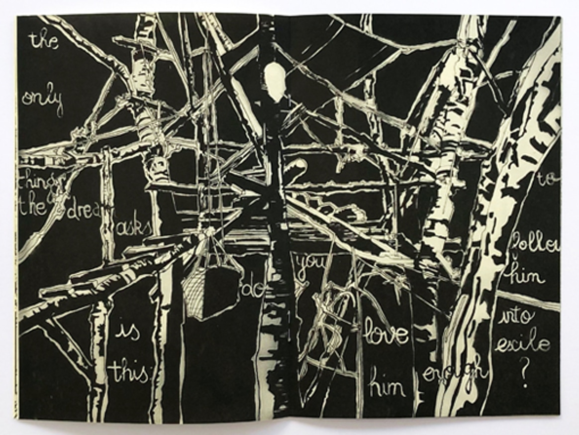 Vague Terrains / Urban Fuckups thumbnail 5