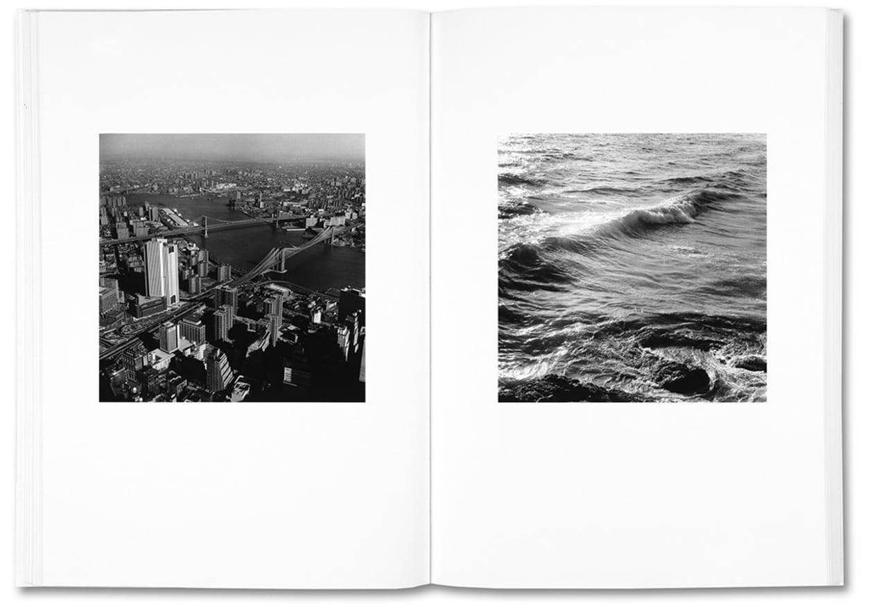 The Shabbiness of Beauty thumbnail 4