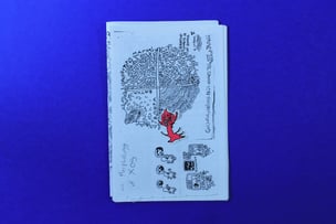 The Morphology of XOS