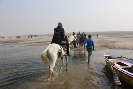 Convert?w=460&compress=true