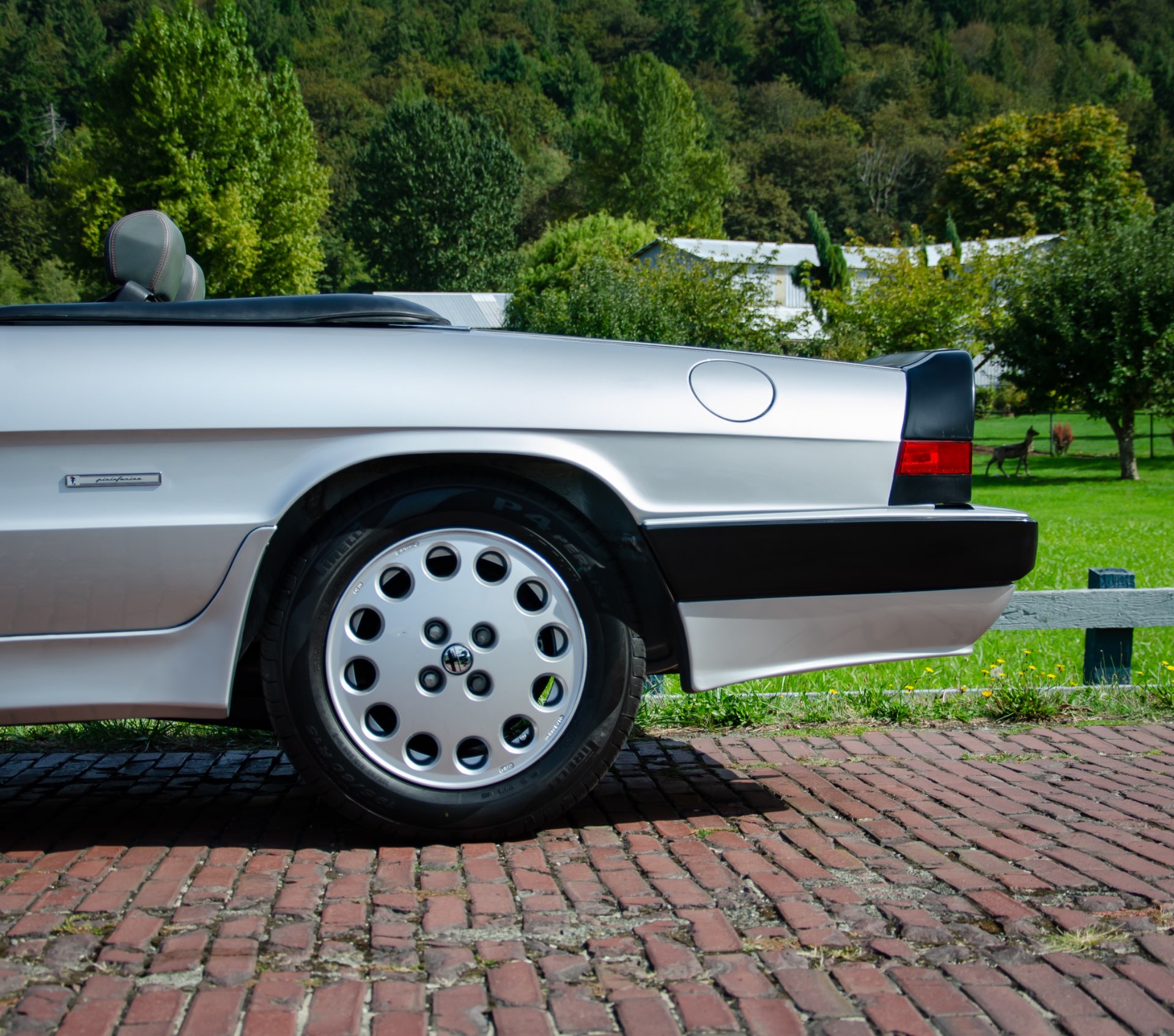 1990 Alfa Romeo Spider - Photo 7