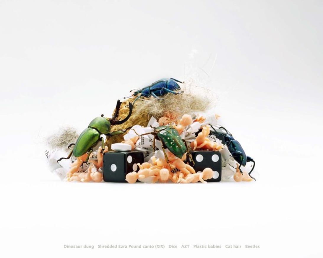 Mounds [Placemats] thumbnail 2