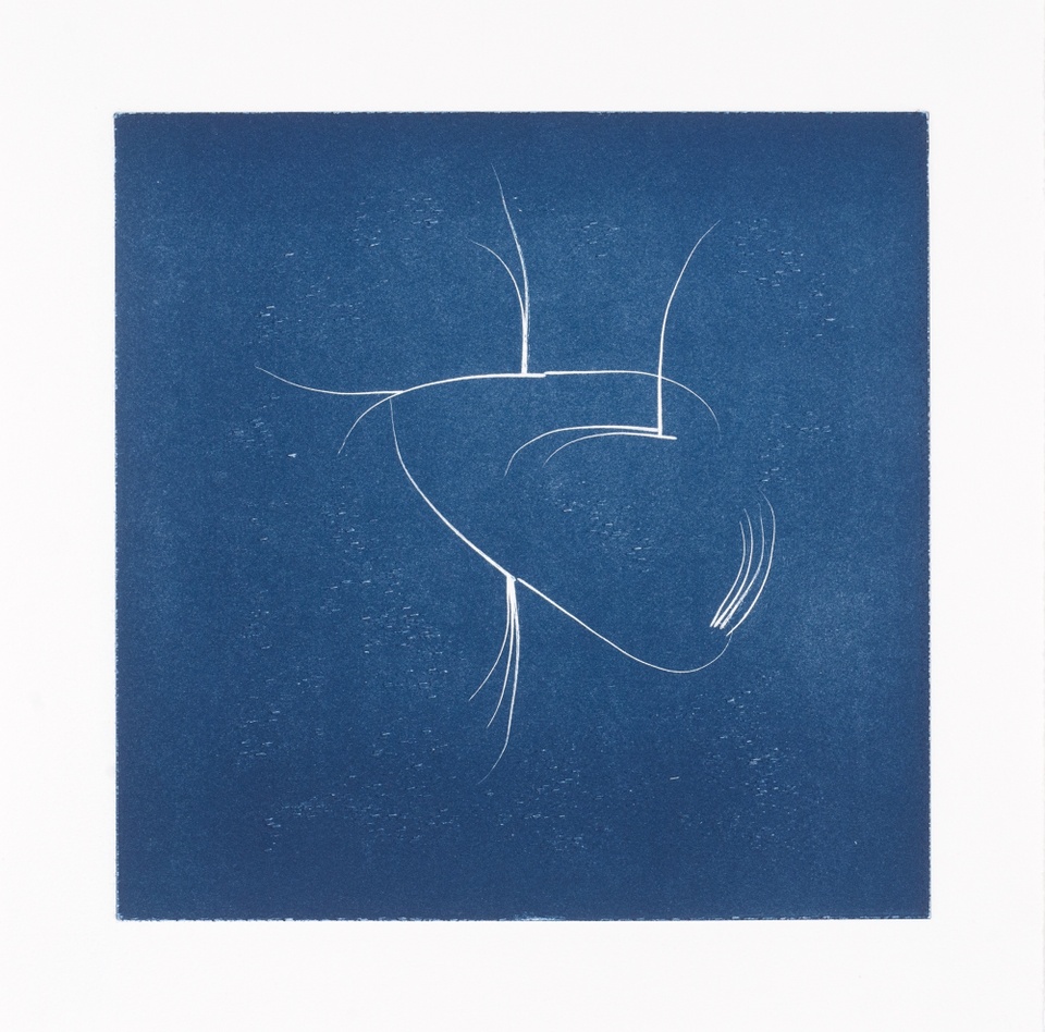 Image of an abstract drawing made with lines resembling cat whiskers in white with a dark blue background