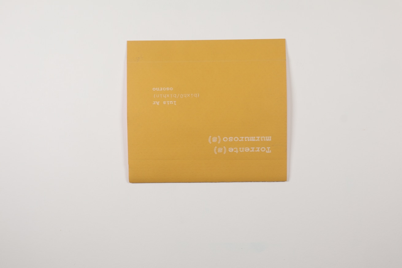 Torrente (s) Murmuroso (s) thumbnail 2