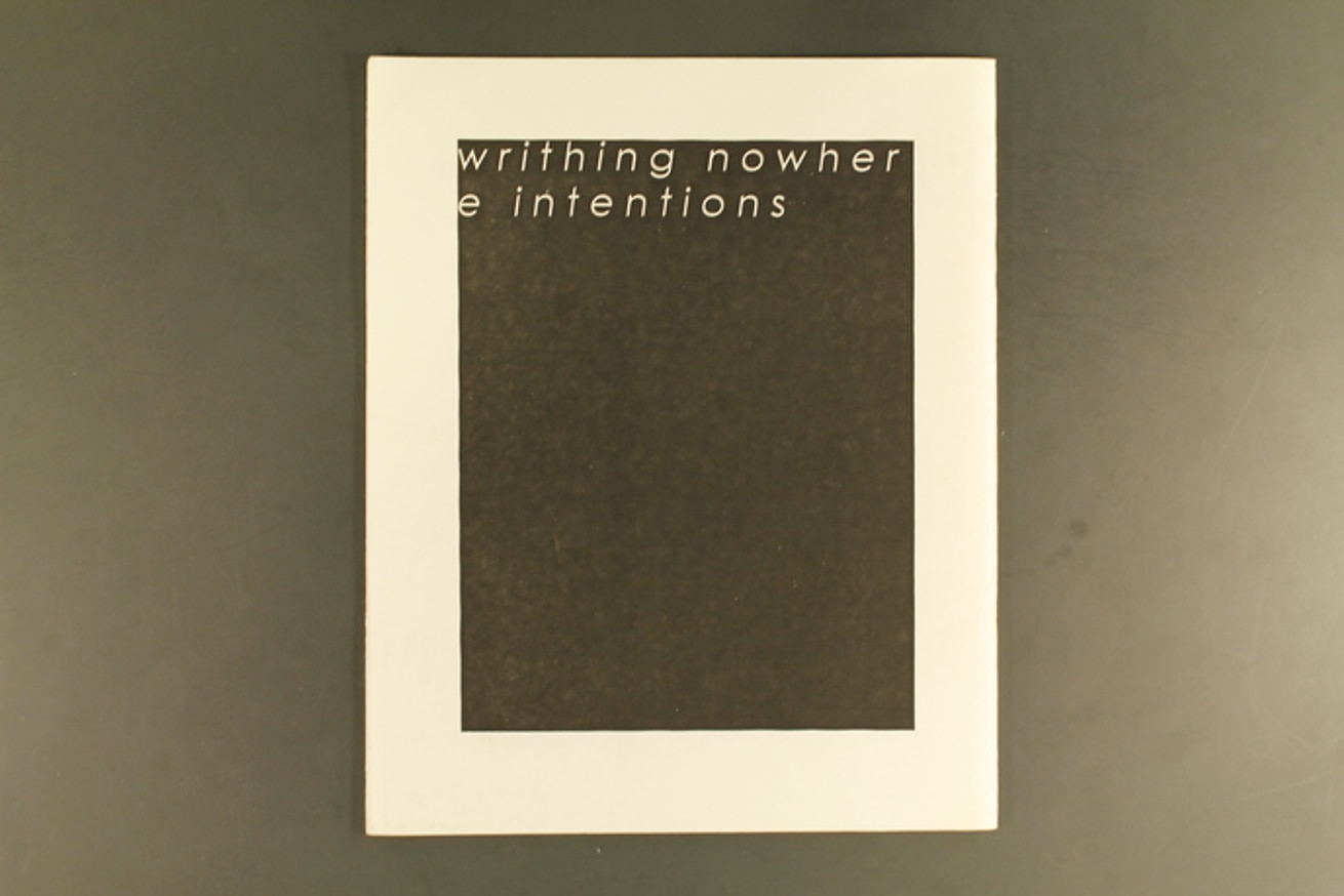 What Should We Really Be Doing : (Blank V) Writhing Nowhere Intentions thumbnail 9