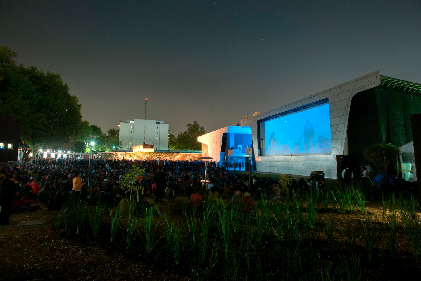 An outdoor forum space at night with hundreds of people sitting on the grass watching the large screen