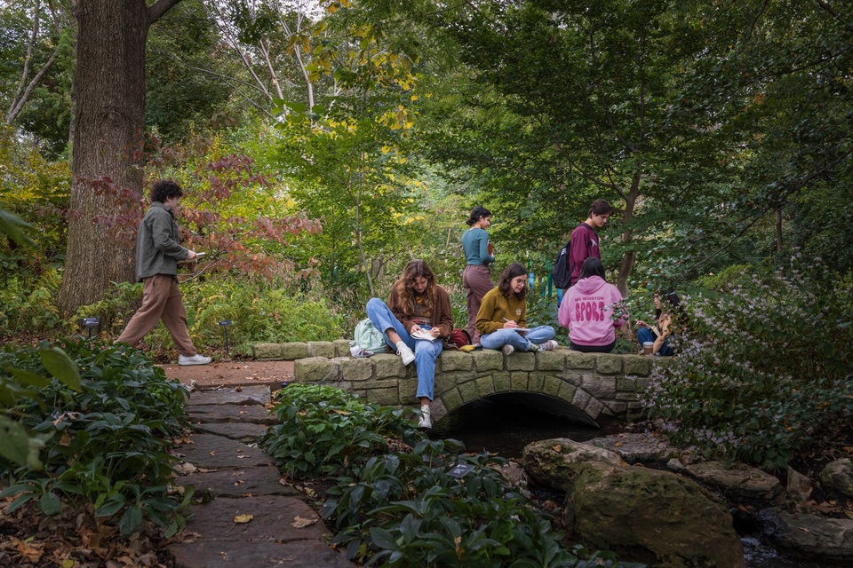 Group of students sit on a stone bridge in a shade garden and sketch.