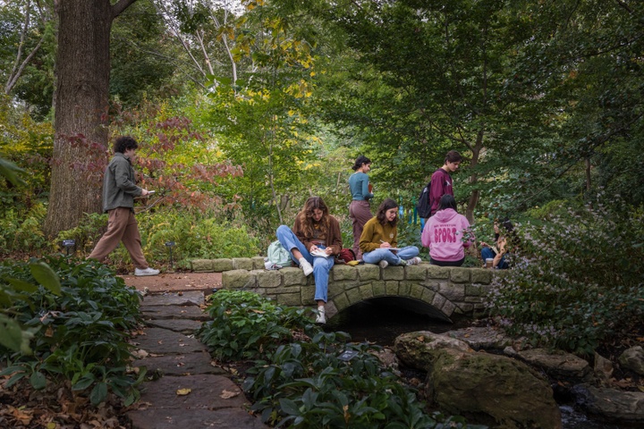Group of students sit on a stone bridge in a shade garden and sketch.