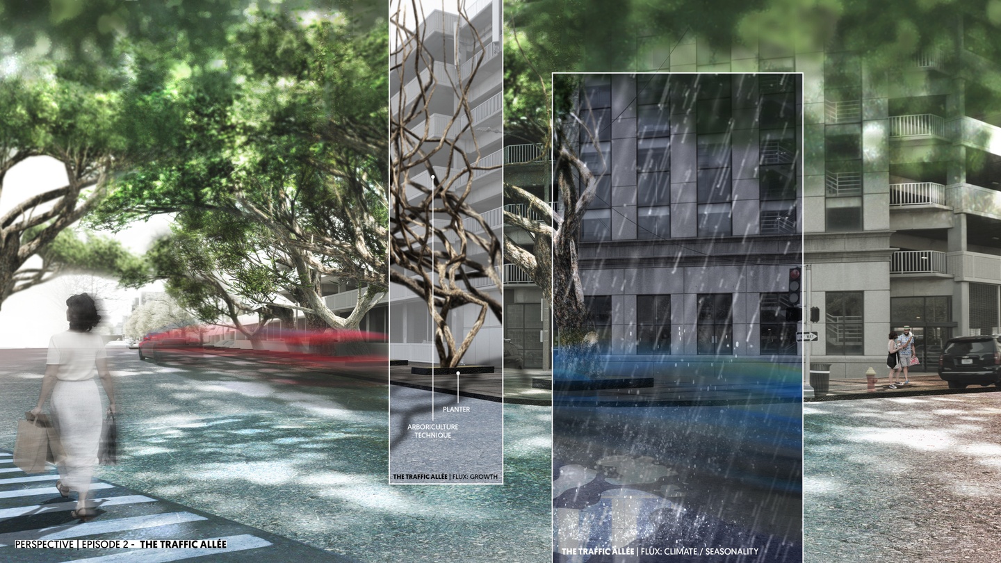 Perspective drawing of the traffic alleé showing plantings as well as reflecting climate shifts/rain.