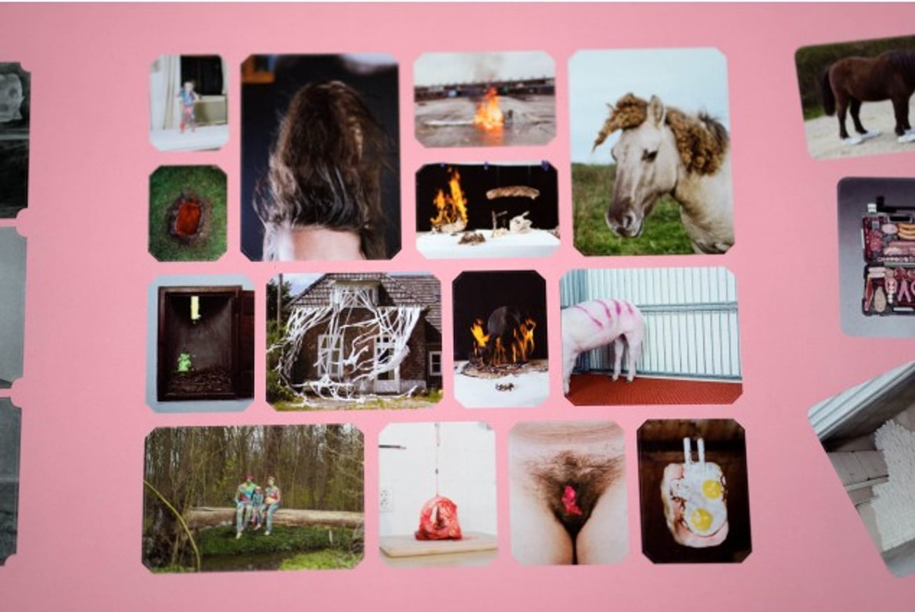 Aversive Adhesives thumbnail 3