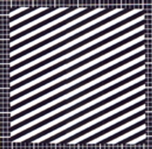 Circuit 4: Undercover [Signed]