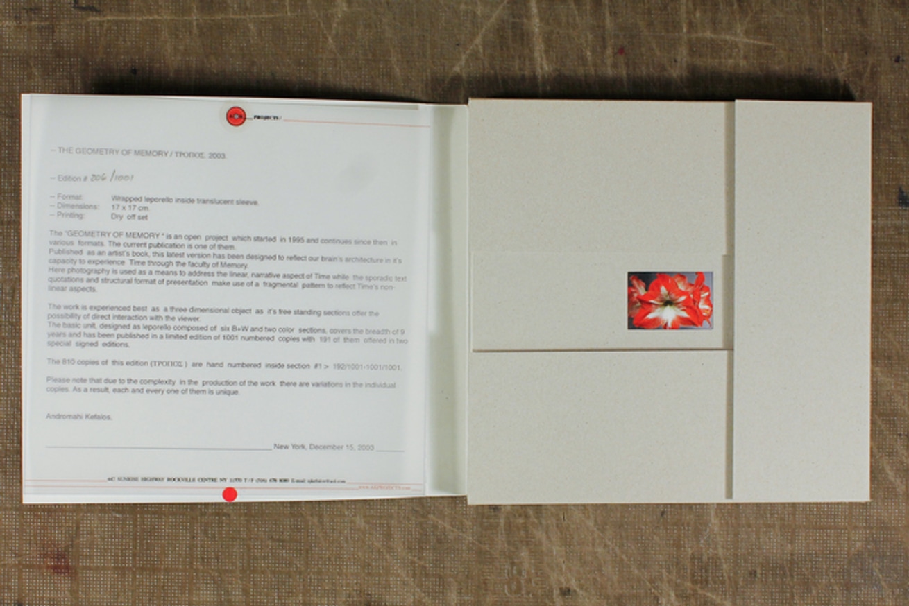 The Geometry of Memory / Tropos 2003 thumbnail 2