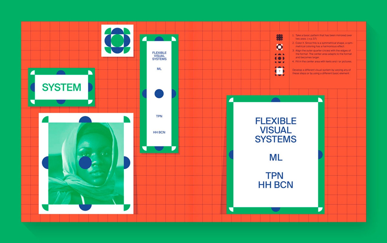 Flexible Visual Systems thumbnail 5