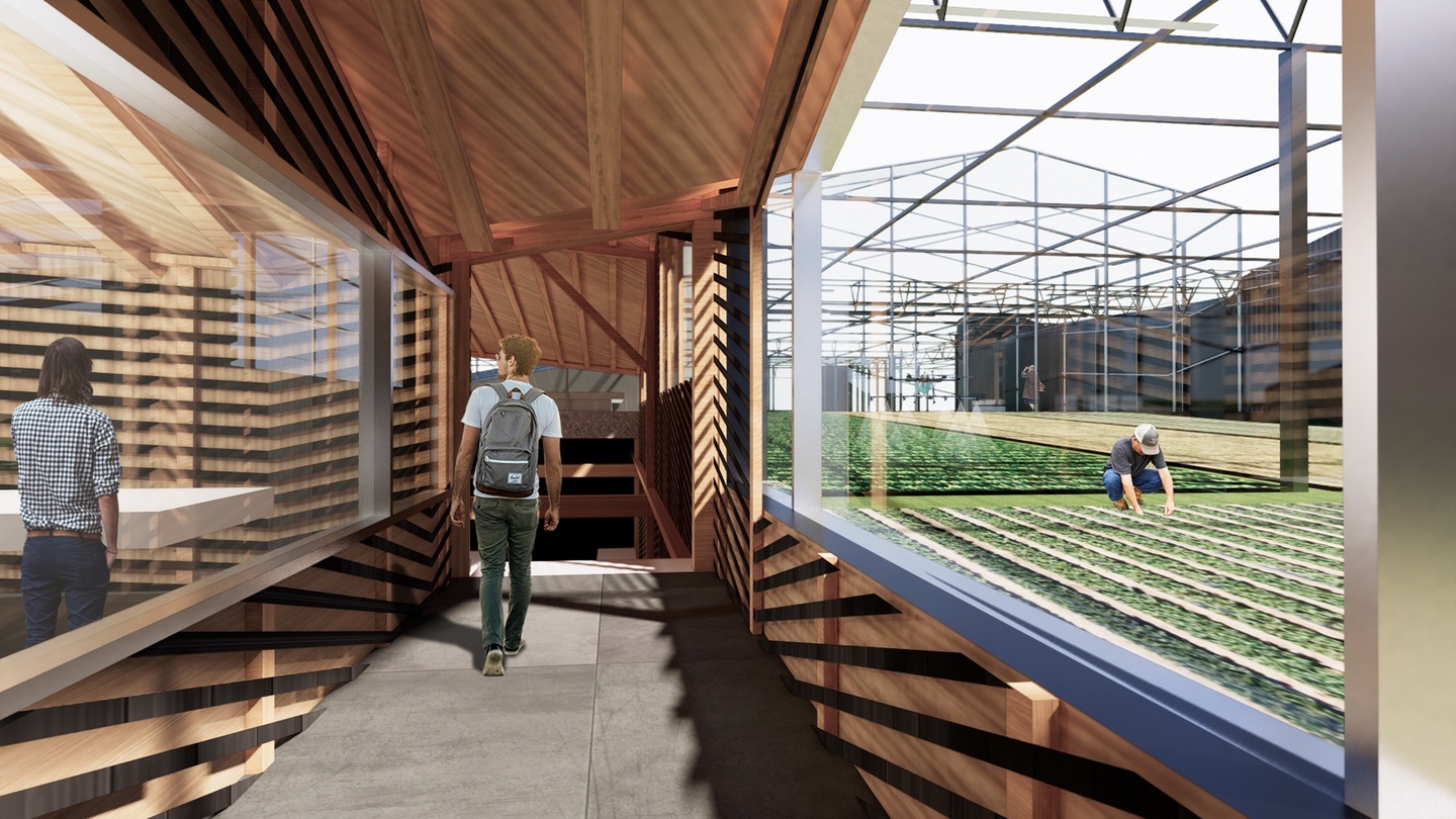 Computer rendering of an interior view of a corridor space with wood framing with glazing on both sides, on the left looking into an interior space, on the right looking into a greenhouse space.