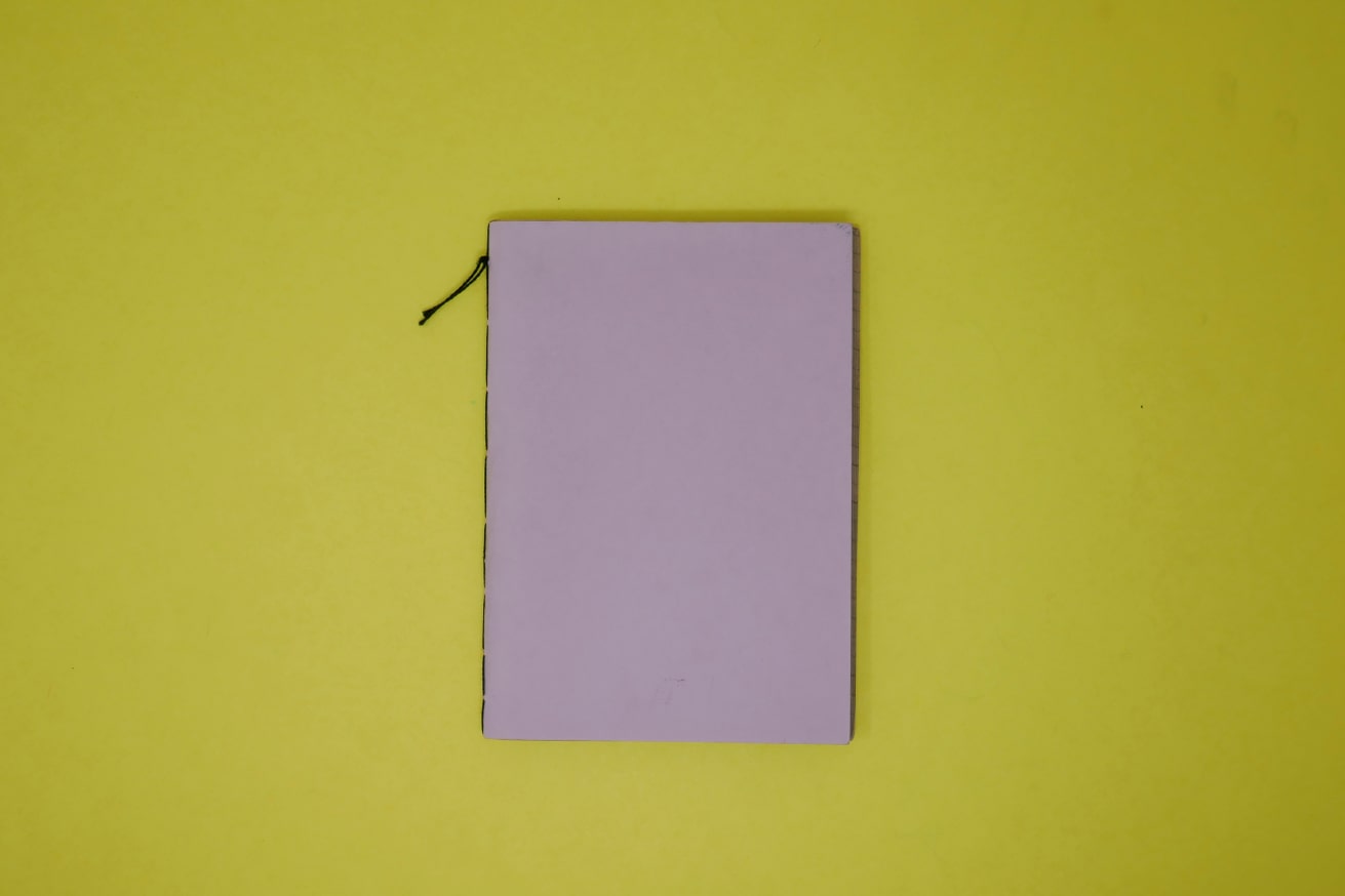 [Untitled (Lion Head Zine)]