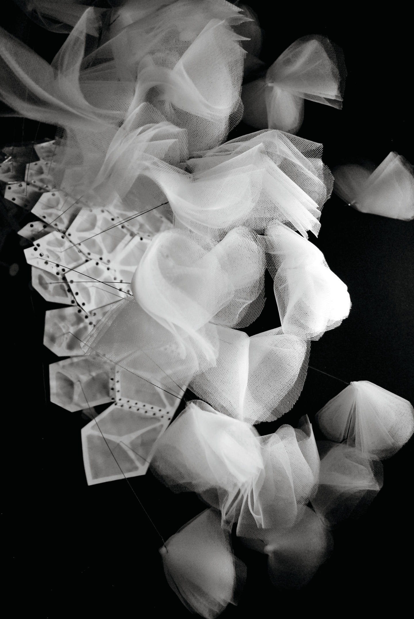 Black and white photo of a model consisting of a mass of gauzy rosettes attached to a plastic framework that resembles a cell structure.