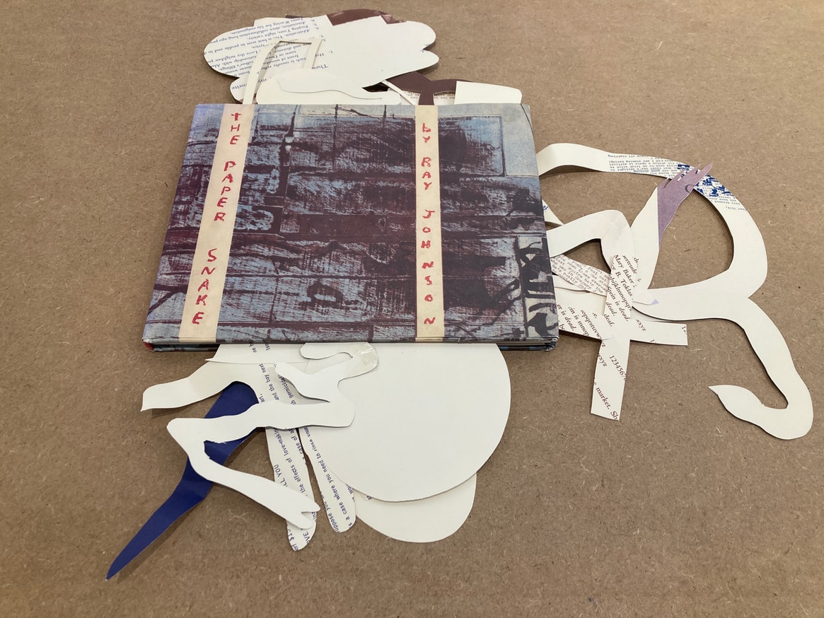 Cut Book (The Paper Snake)