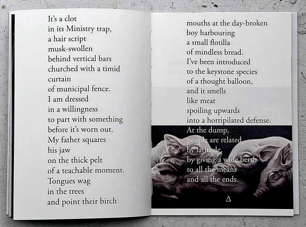 Adam Dickinson The Quarry Printed Matter