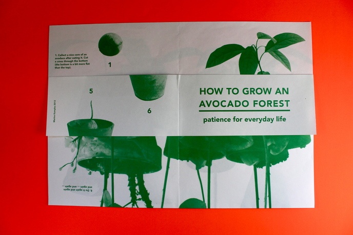 How to Grow an Avocado Forest thumbnail 2
