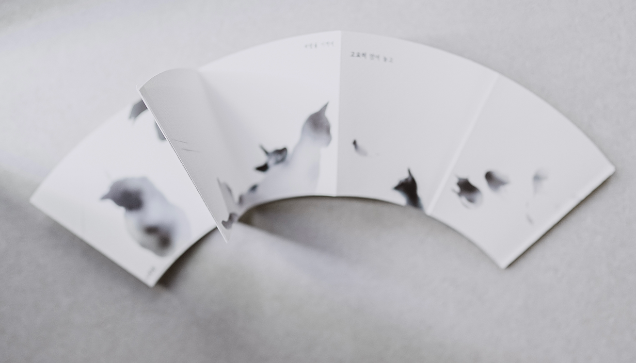 Floating Circle thumbnail 9